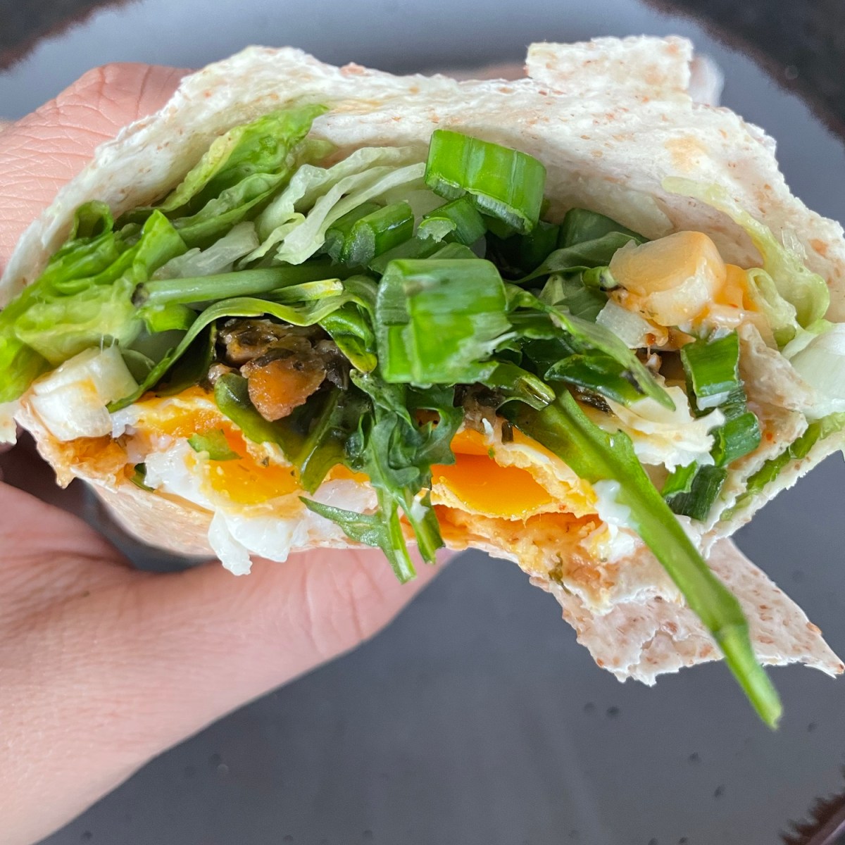 Protein Wrap